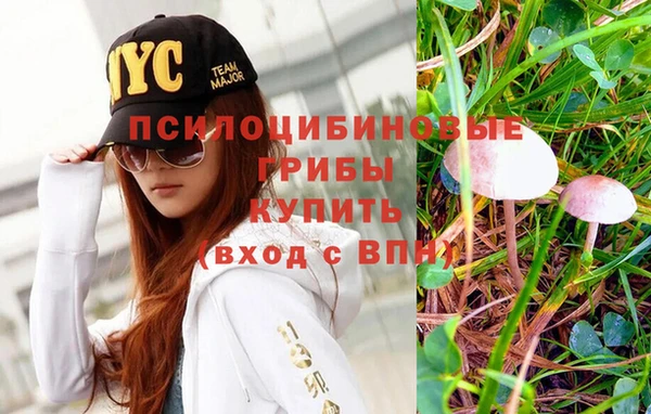 mix Заводоуковск